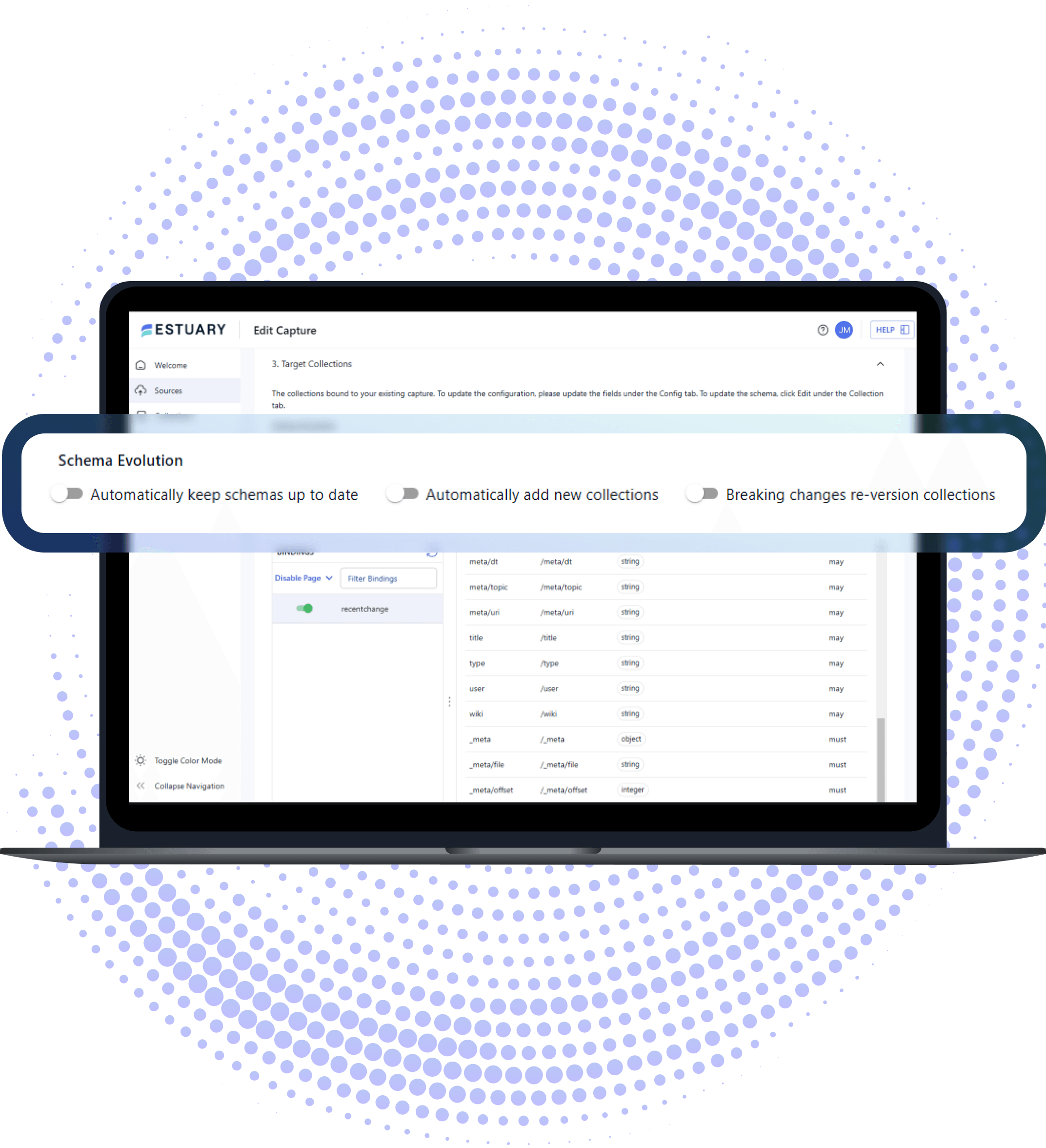 Schema evolution options